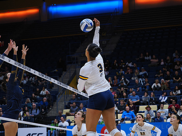 Volleyball: California Golden Bears vs Notre Dame Fighting Irish