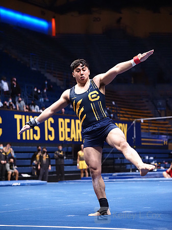 Kyle Abe