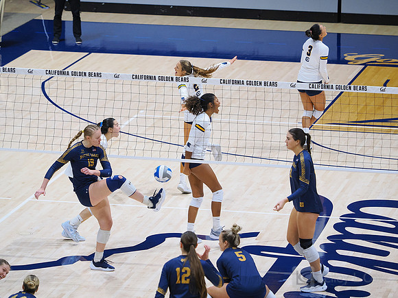 Volleyball: California Golden Bears vs Notre Dame Fighting Irish