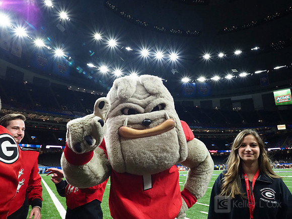 Georgia Bulldogs