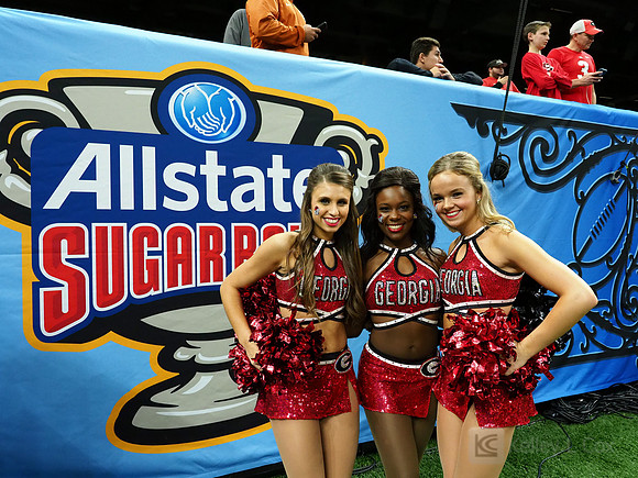 Georgia Bulldogs spirit