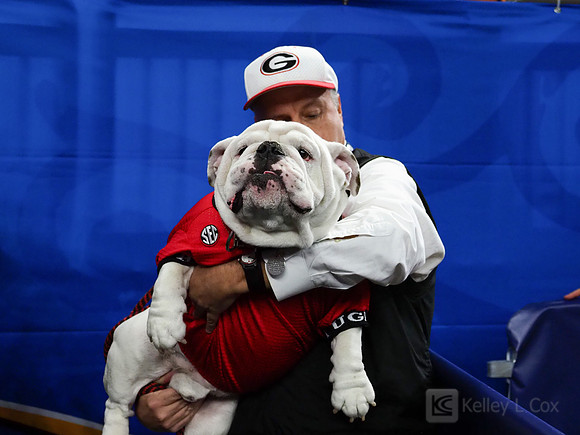 Georgia Bulldogs Uga