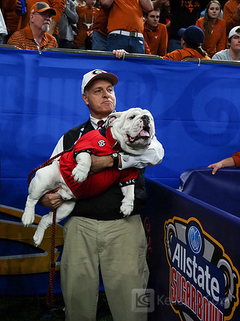 Georgia Bulldogs Uga