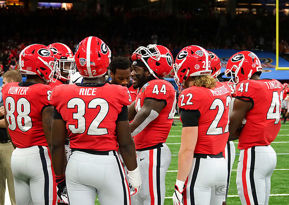 Georgia Bulldogs