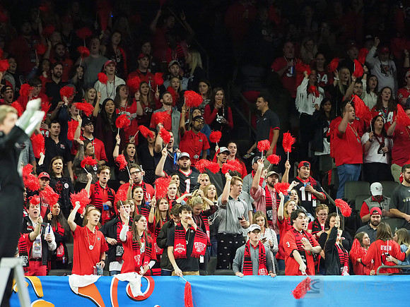 Georgia Bulldogs fans