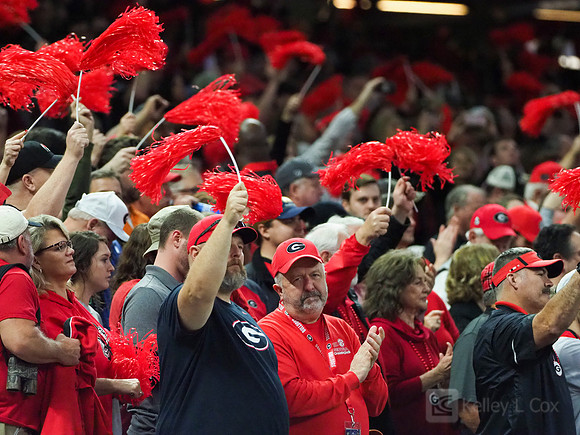 Georgia Bulldogs fans