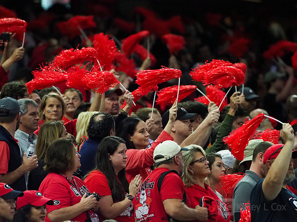 Georgia Bulldogs fans