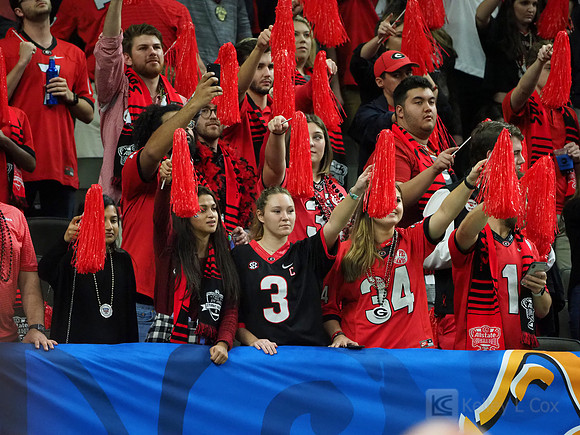 Georgia Bulldogs fans