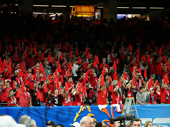 Georgia Bulldogs fans