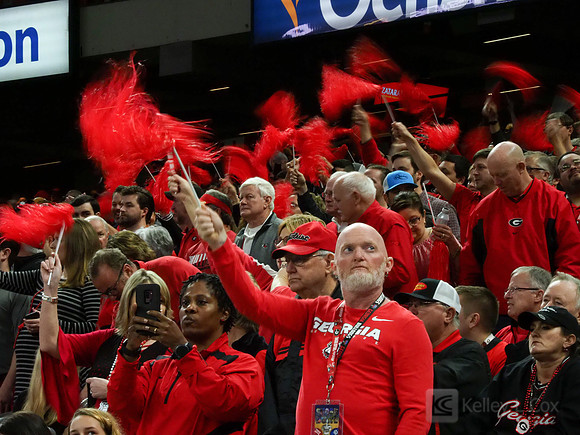 Georgia Bulldogs fans