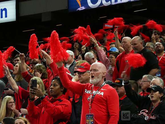Georgia Bulldogs fans