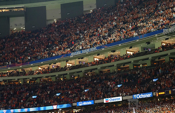 Texas Longhorns fans