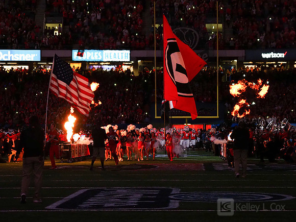 Georgia Bulldogs