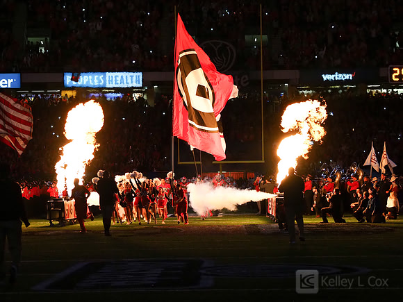Georgia Bulldogs