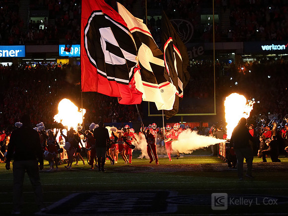Georgia Bulldogs