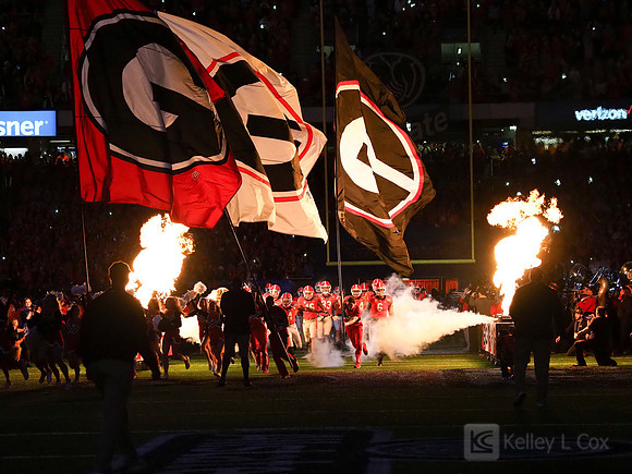 Georgia Bulldogs