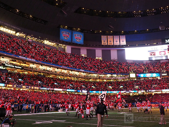 Georgia Bulldogs