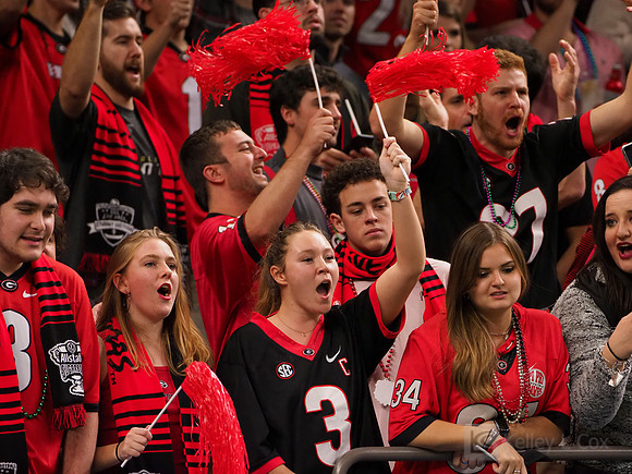 Georgia Bulldogs fans