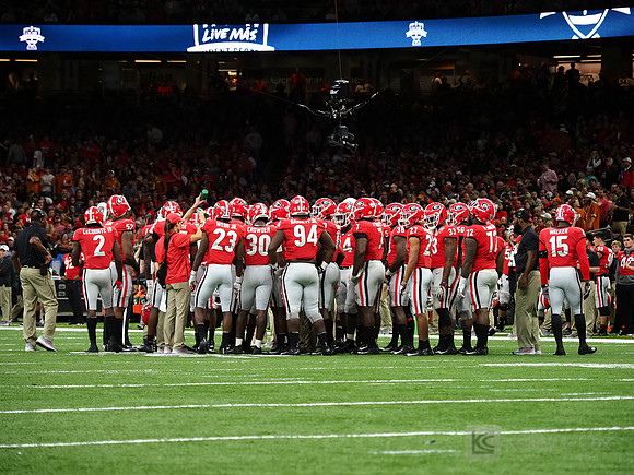 Georgia Bulldogs
