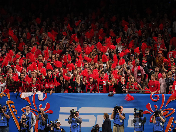 Georgia Bulldogs fans