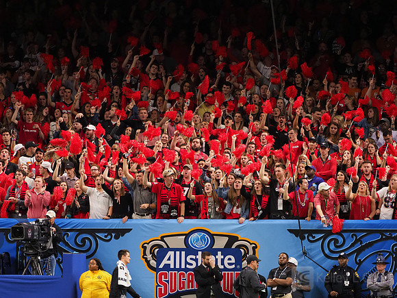 Georgia Bulldogs fans
