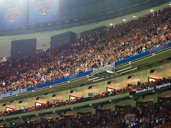 Texas Longhorns fans