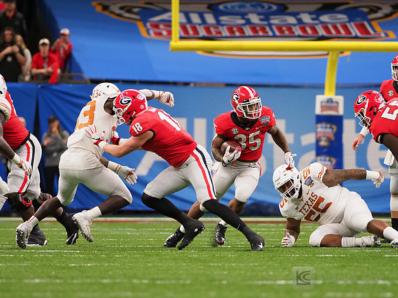 Georgia Bulldogs running back Brian Herrien (35)