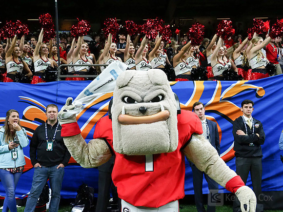 Georgia Bulldogs