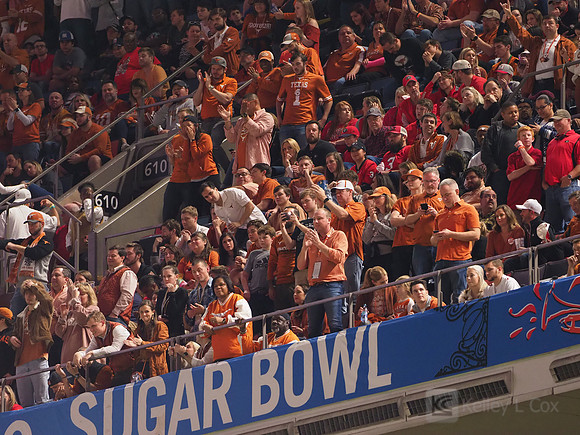 Texas Longhorns fans