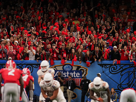 Georgia Bulldogs fans