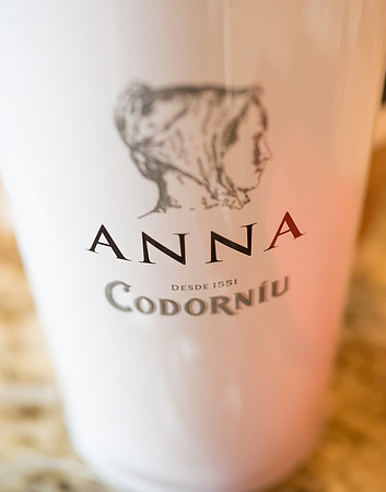 Anna + Brendon