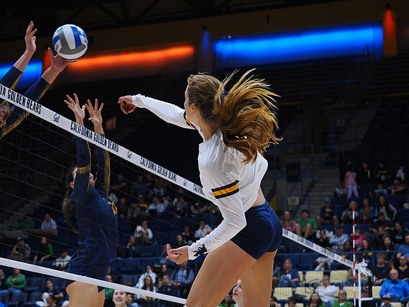 Volleyball: California Golden Bears vs Notre Dame Fighting Irish