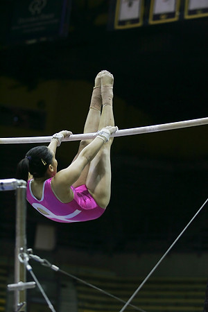 Cal Women's Gymnastics vs Stanford