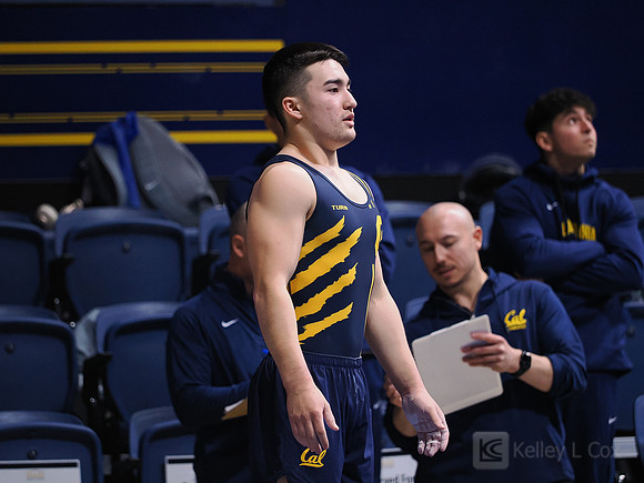 Men’s Gymnastics: California Golden Bears vs Stanford Cardinal