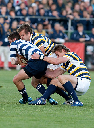 Cal Rugby vs BYU