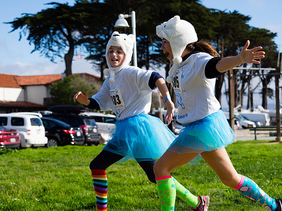 SONC: Polar Plunge