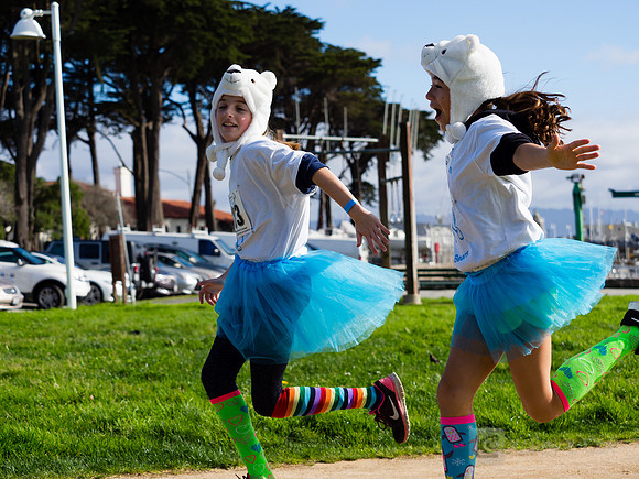 SONC: Polar Plunge