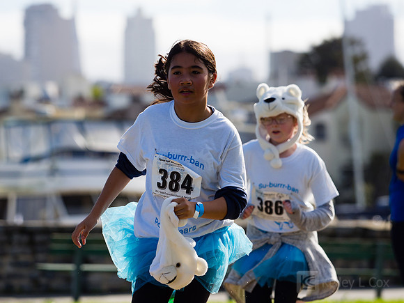 SONC: Polar Plunge