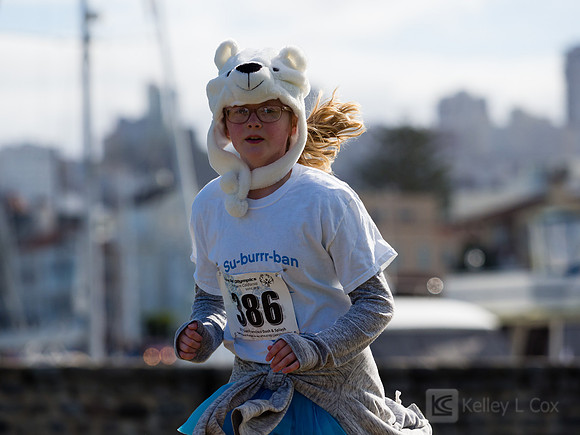 SONC: Polar Plunge