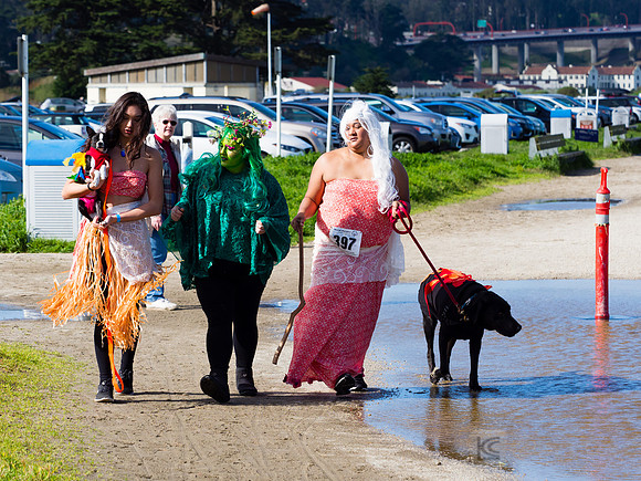 SONC: Polar Plunge