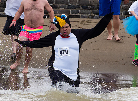 SONC: Polar Plunge