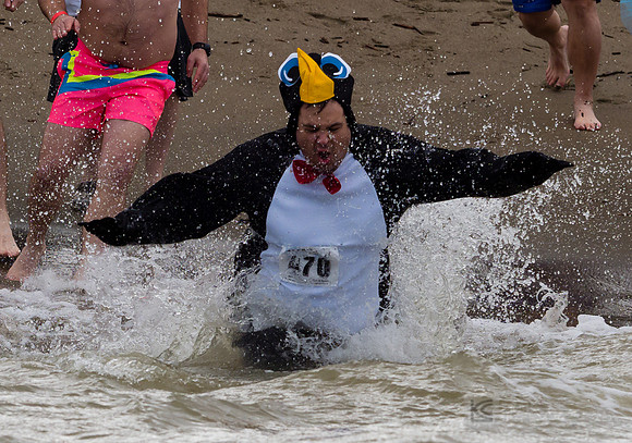 SONC: Polar Plunge