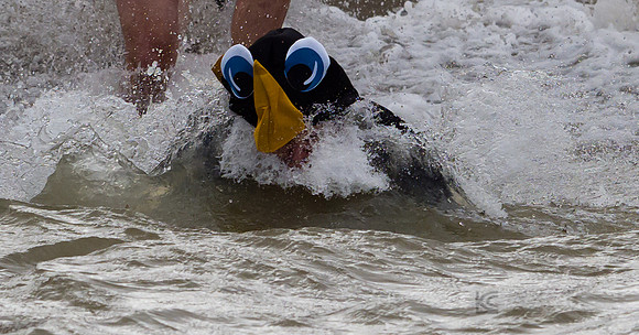SONC: Polar Plunge