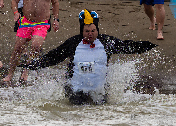 SONC: Polar Plunge