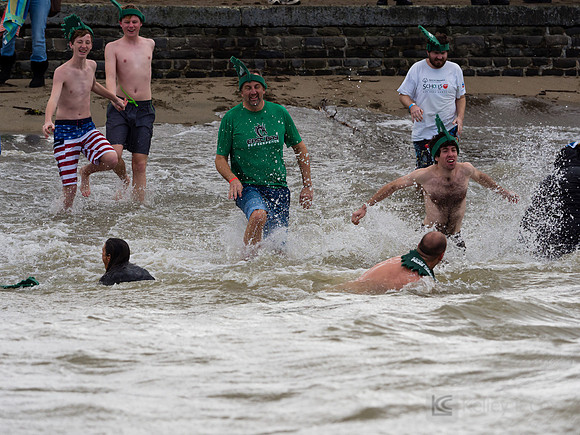 SONC: Polar Plunge