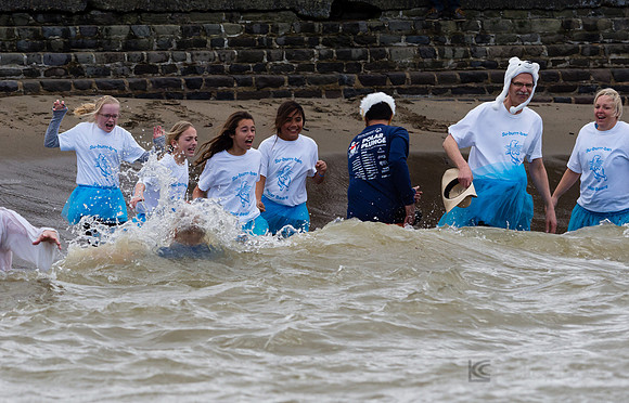 SONC: Polar Plunge