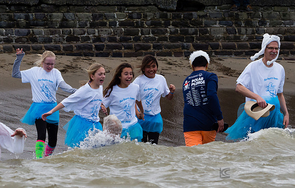 SONC: Polar Plunge