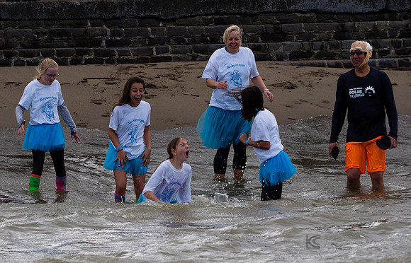 SONC: Polar Plunge
