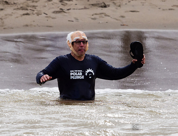 SONC: Polar Plunge