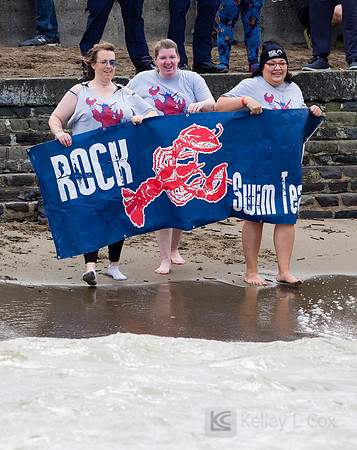 SONC: Polar Plunge